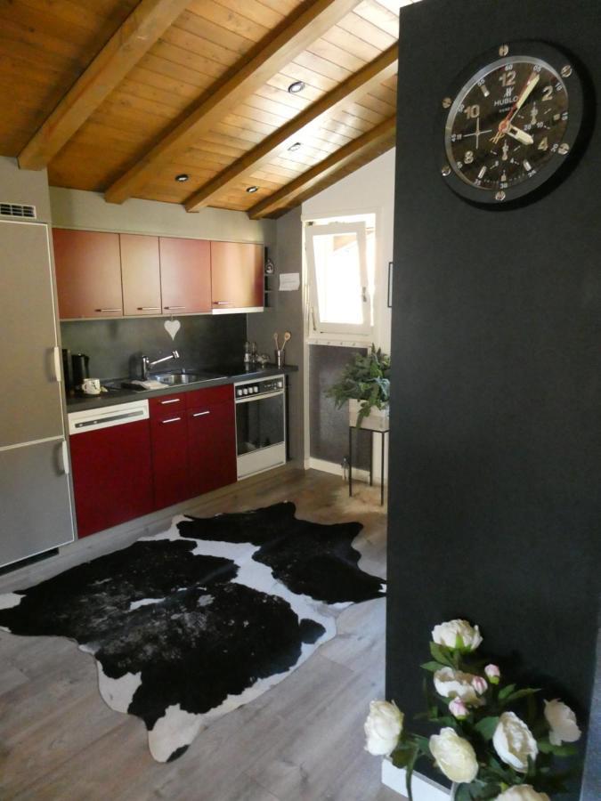 Central & Elegant Apartments,Partially With Fireplace, By Zermatt Rental المظهر الخارجي الصورة
